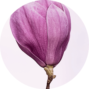 qode-np-item